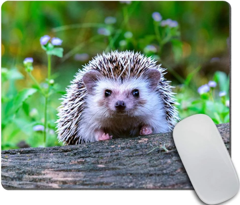 Cute Animal Gaming Mouse pad Custom, Dwraf Hedgehog on Stump Personality Desings Gaming Mouse Pad